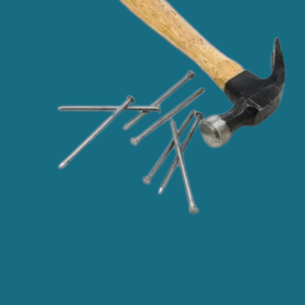 Nail Hammer Nest