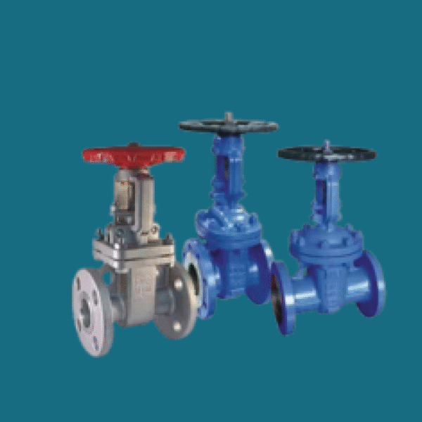 Gate Valve Union (W)